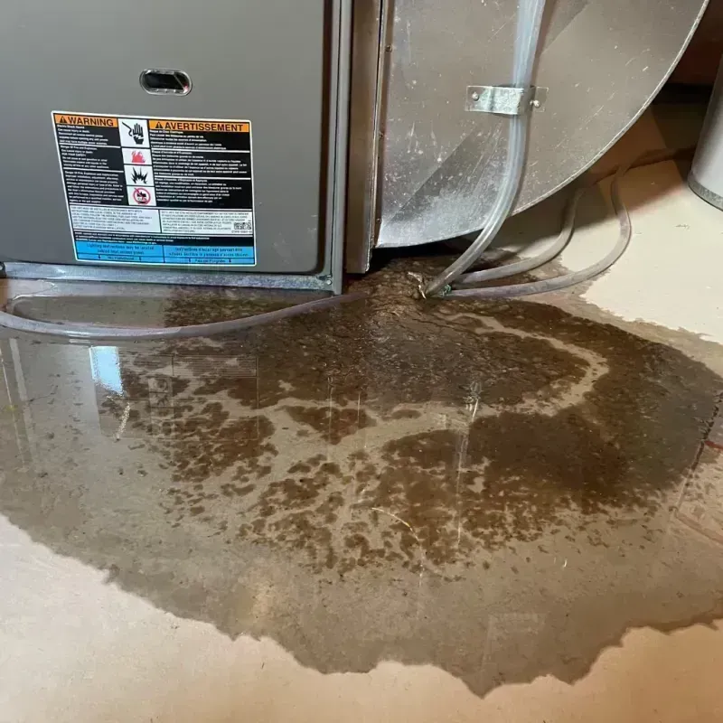 Appliance Leak Cleanup in Affton, MO